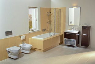 卫生洁具十大品牌排行榜与选购实用指南